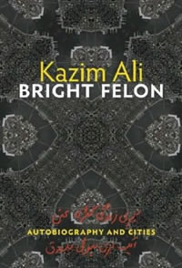 Bright Felon